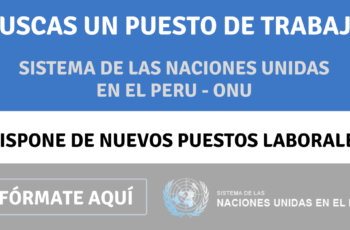 OPORTUNIDAD LABORAL EN ONU SISTEMA DE LAS NACIONES UNIDAS EN EL PERU