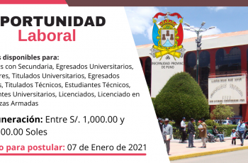 Oportunidad laboral en Municipalidad de Puno: 191 Plazas – Administración, Biología, Otros