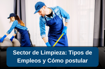 Sector de Limpieza: Tipos de Empleos y Cómo Aplicar