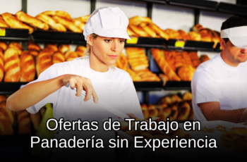 Trabajo en Panadería sin Experiencia: Capacitación y Empleo Estable