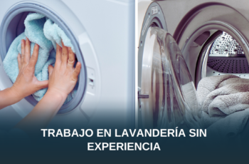 Trabajo en Lavandería Sin Experiencia: Puestos, Requisitos y Dónde Encontrar Empleo